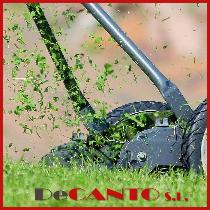 Resolvemos tus dudas en la decoración de jardines: áridos decorativos o cesped